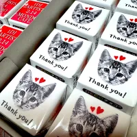 猫サンキューチロル| nyantomoさん