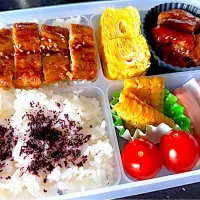 夜ごはん🍱|¨̮⑅*さん