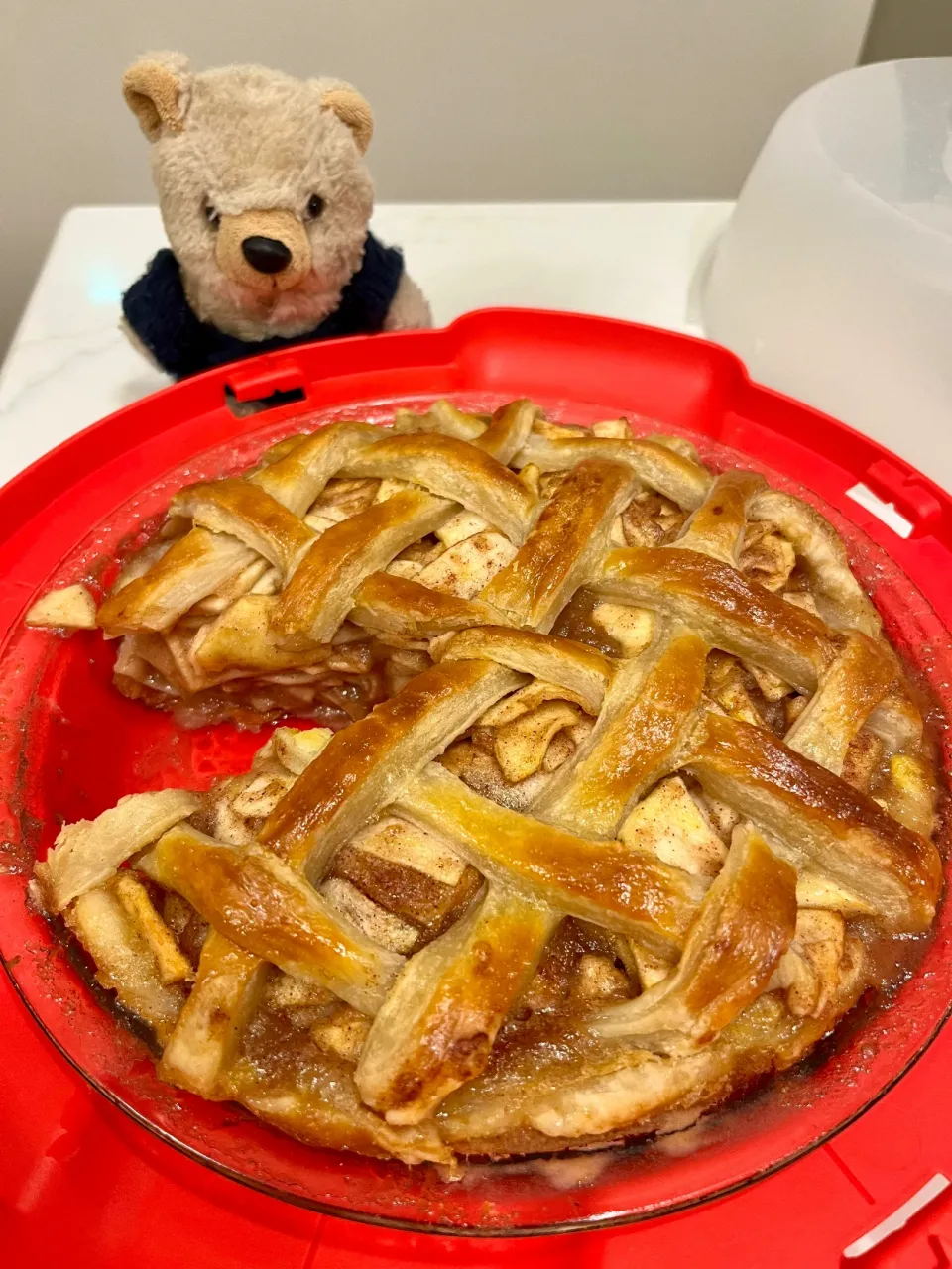 21 Boys & 野鳥さんの料理 2025/11/27   アップルパイ（りんごの使い途を求めて番外編１） Apple Pie|21 Boys & 野鳥さん