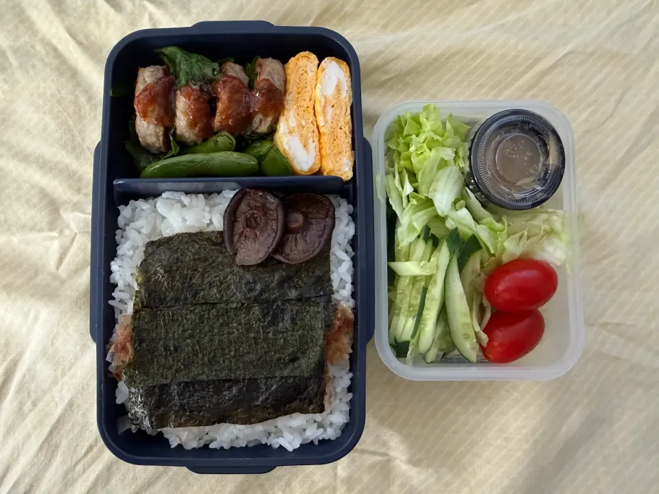 ハンバーグ梅ソース海苔弁当|ひぐっちさん