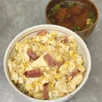 豆腐チャンプルーライス|deekay71さん