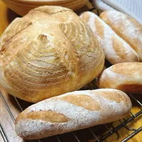 2026/02/05 春よ恋☘️ハードブレッド|Blueberry🫐さん