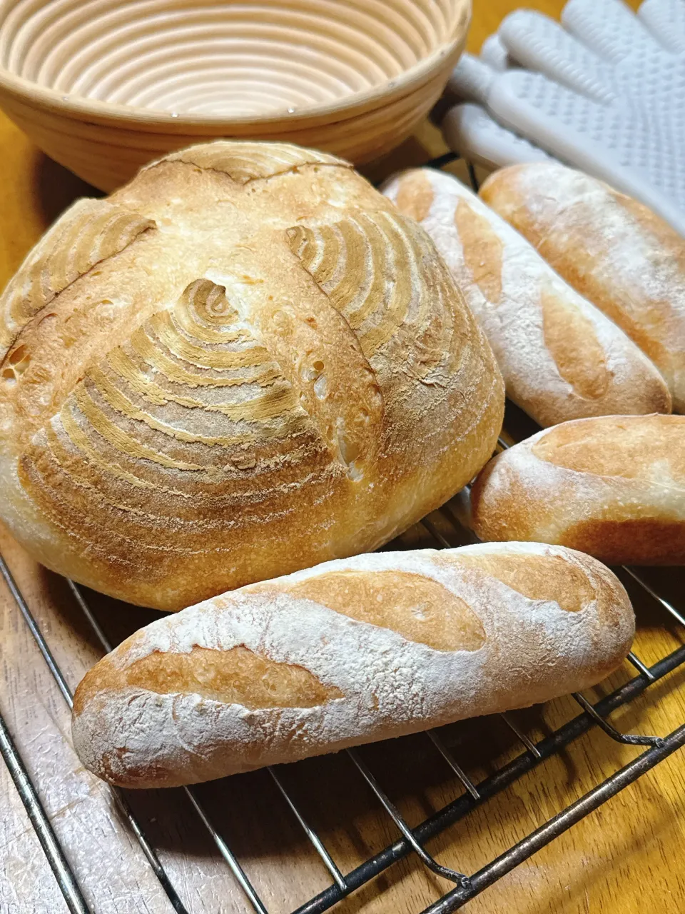 2026/02/05 春よ恋☘️ハードブレッド|Blueberry🫐さん