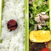 旦那さん弁当🍱|さーりさん