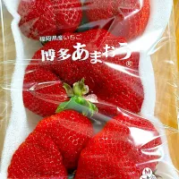 |みーちゃんさん