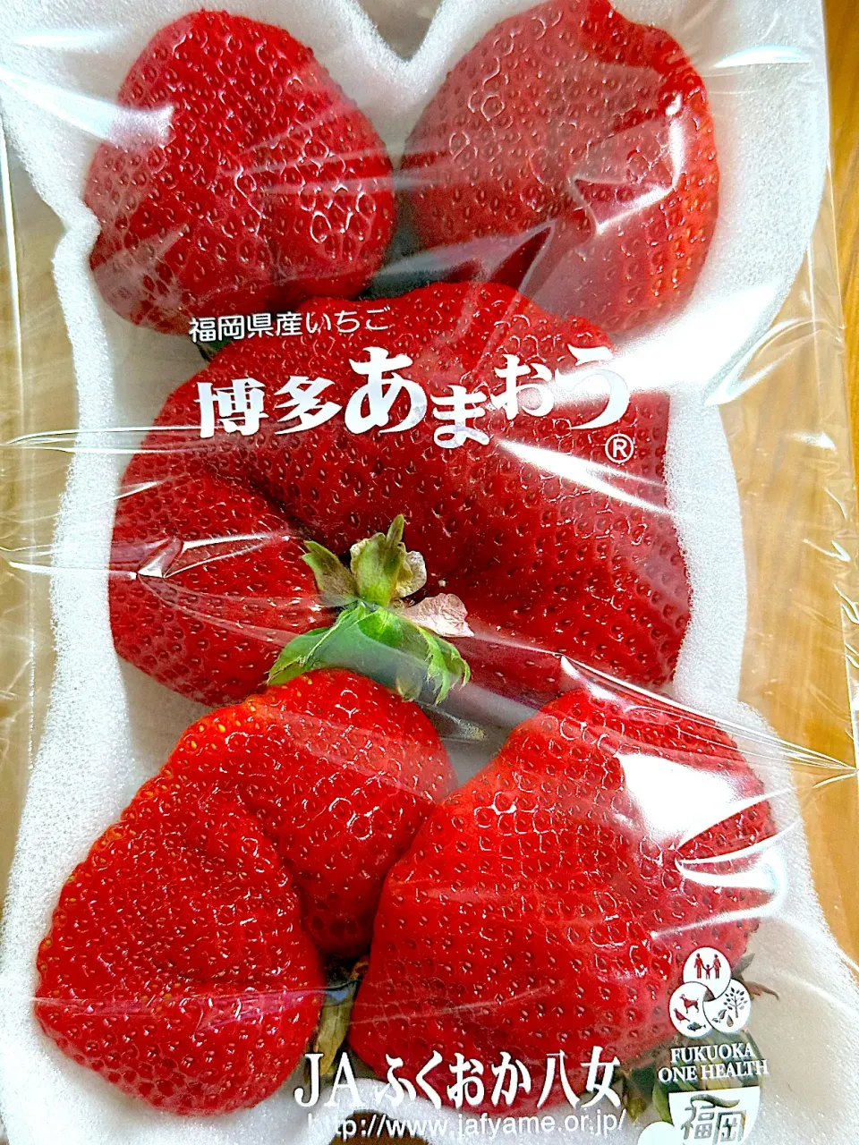 |みーちゃんさん