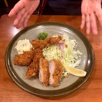 今日の晩ご飯@「大関」さん③  はやとの３種盛り（牡蠣２､ヒレ１）|なびさん