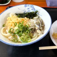 かけ1玉とかしわ天　手打麺や大島|かおるさん