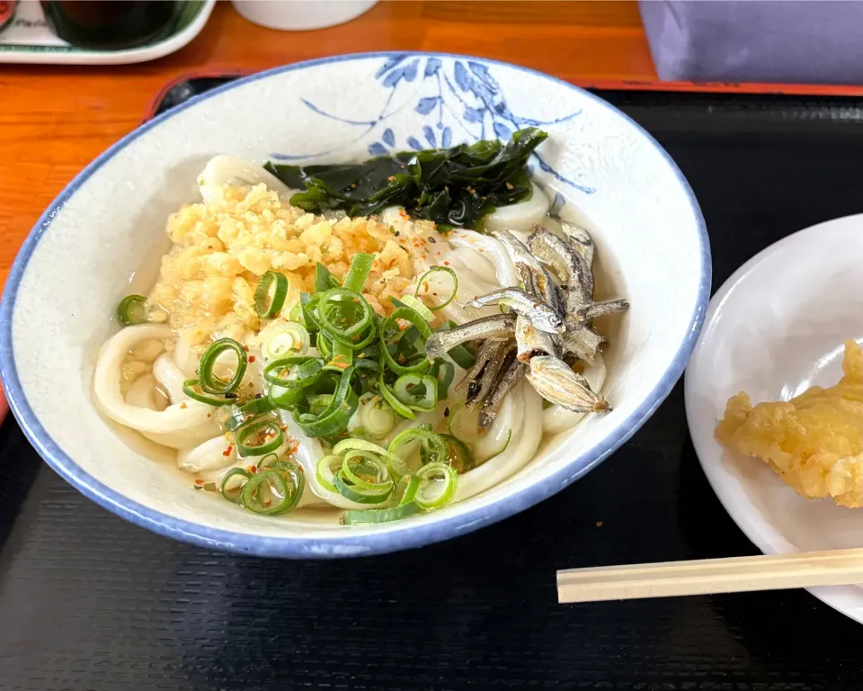 かけ1玉とかしわ天　手打麺や大島|かおるさん