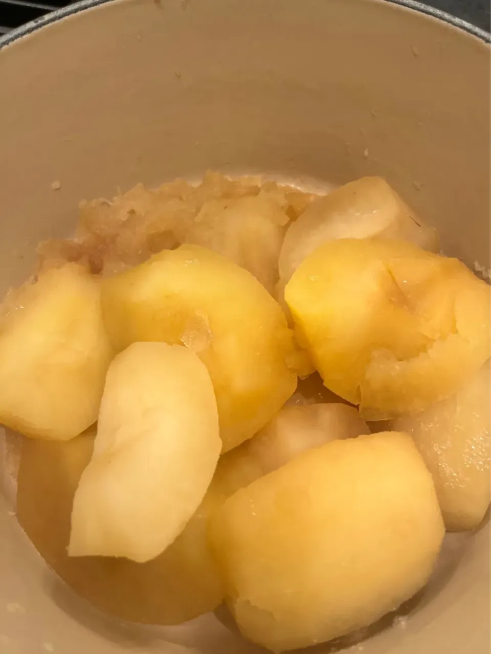 2026/2/5   りんごのコンポート「オ・ナチュレル」(りんごの使い途を求めて Part 11) Apple Compote|21 Boys & 野鳥さん