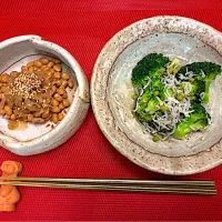 今宵の聖水沐浴の供|にゃあ（芸名）さん