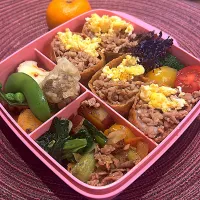 今日の娘弁当🍱|mokoさん