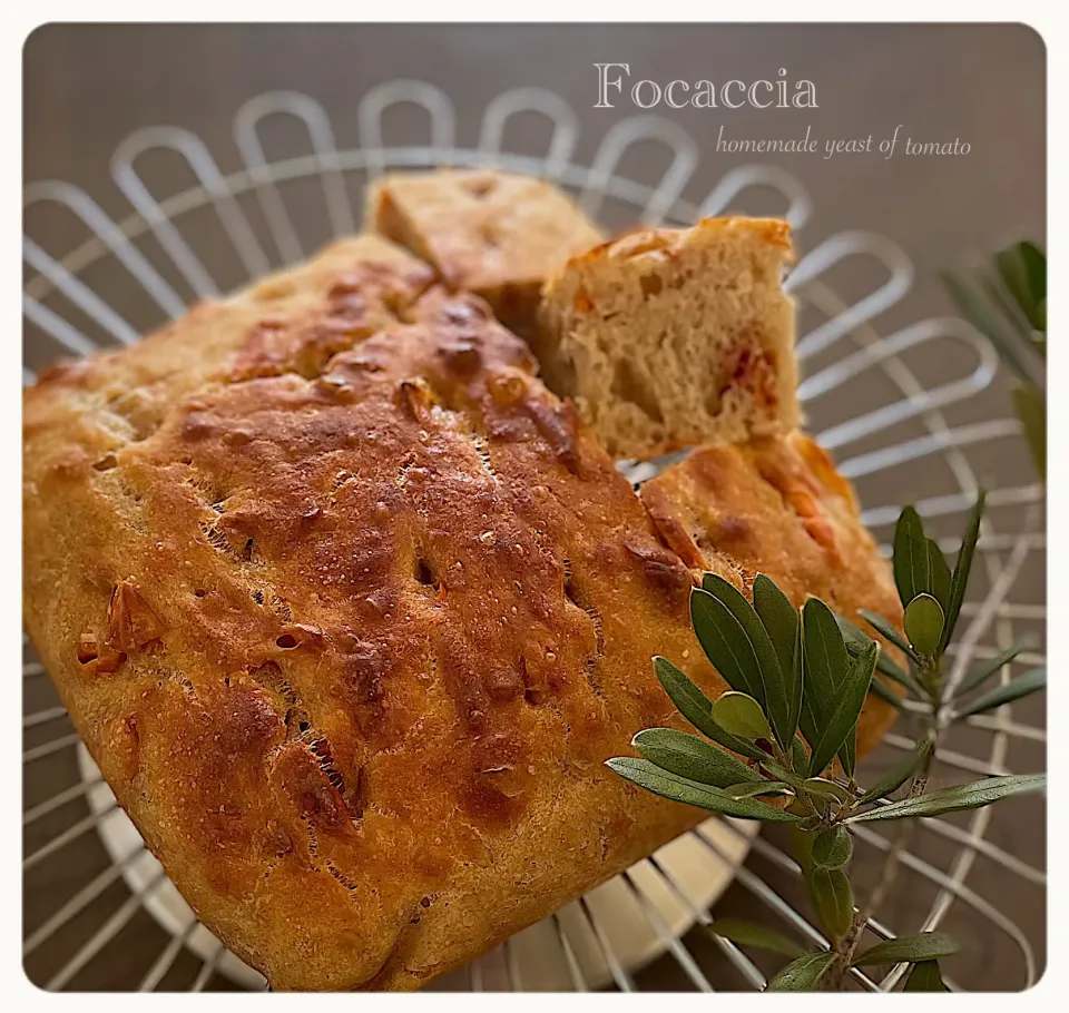トマト酵母🍅 de フォカッチャ|yucca@さん