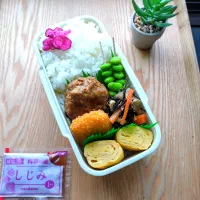 キャベツ入り豚つくね弁当|みわさん
