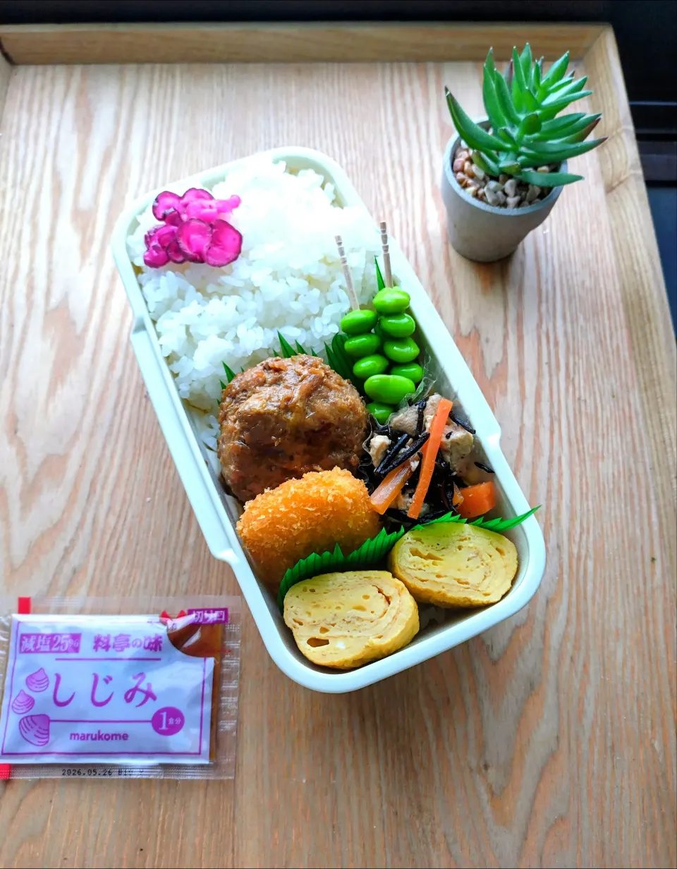 キャベツ入り豚つくね弁当|みわさん