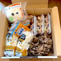 山形のきのこ詰め合わせセット