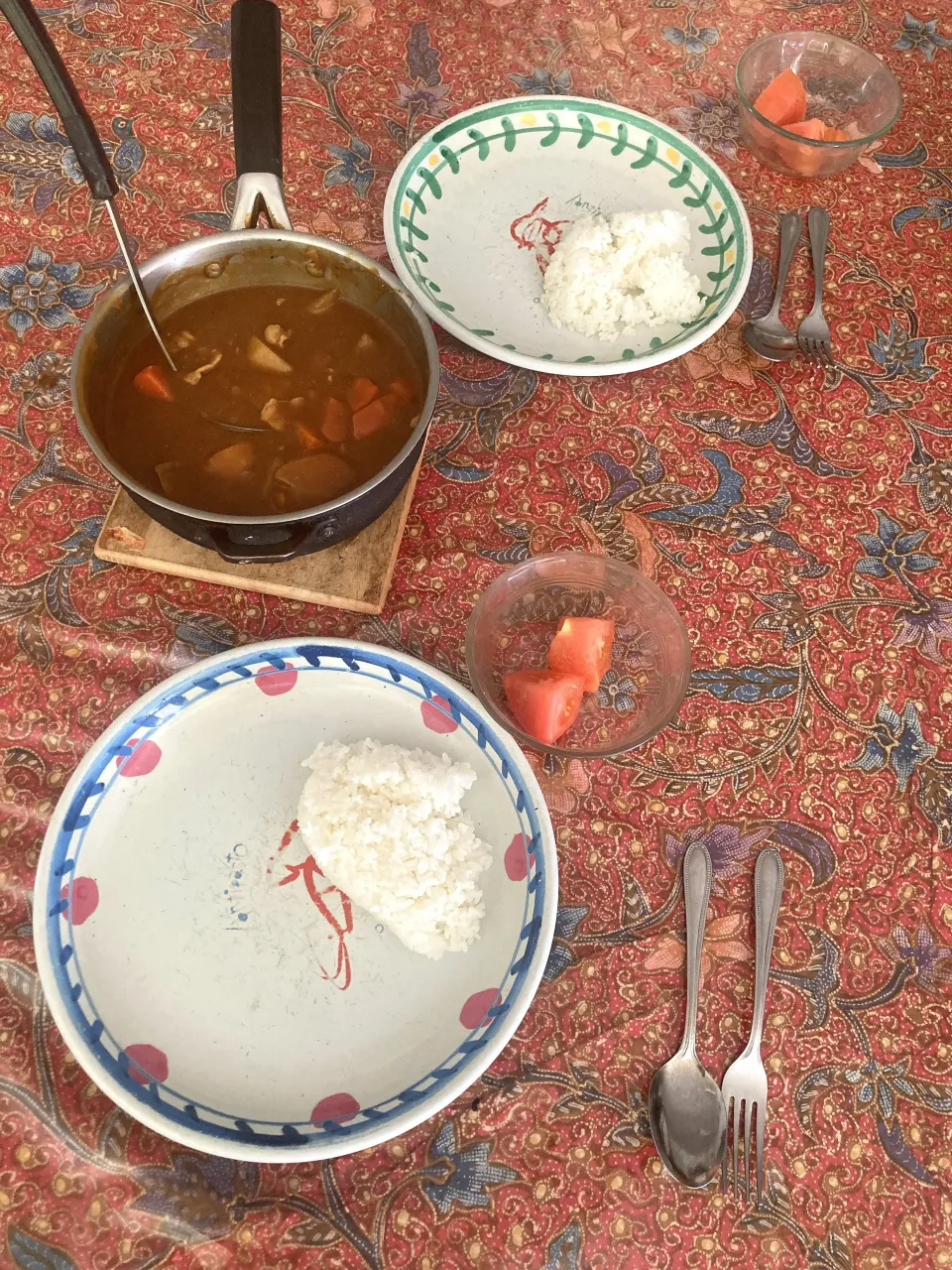 今日の昼ご飯　ポークカレー　ハウスバーモントカレー、豚バラスライス、人参、じゃがいも、大根、玉ねぎで作りました。大根からいいお出汁が出るのでうちは必ず大根を入れます。ナビがこれから名古屋に戻るのでちょっと早めの昼ご飯です。|はやとさん