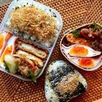 ちりめん山椒ご飯弁当✴︎|あやみんさん