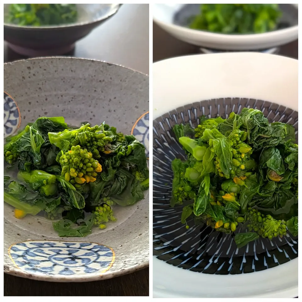 アッチさんの料理 菜の花のつゆだくおひたし|とだともさん