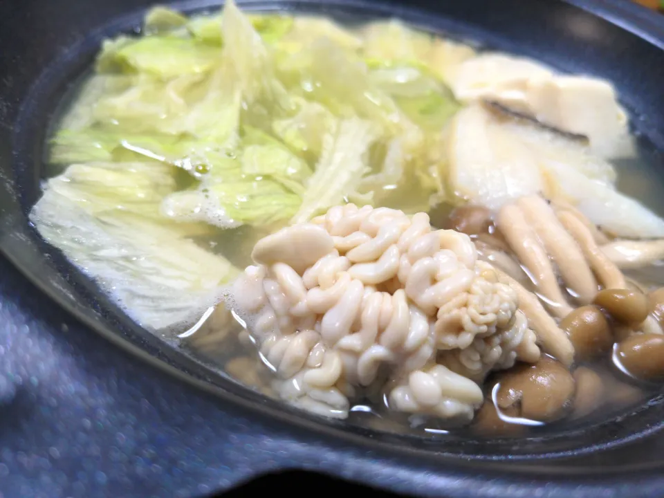 本日の晩酌|こむぎさん