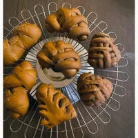 珈琲黒豆パン🫘|yucca@さん