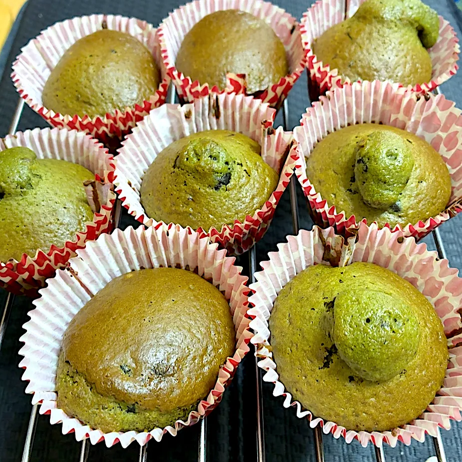 抹茶カップケーキ|akkoさん