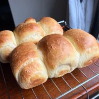 低温発酵で焼いたカスタードブレッド🍞