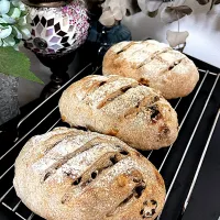 ドライフルーツとナッツのハードパン|Mikaさん