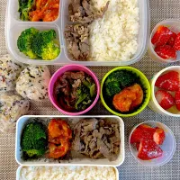 旦那さん、娘弁当。|ゆーこ。さん