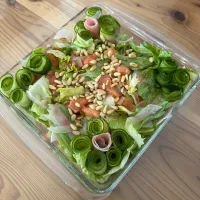 もものすけとサーモンのサラダ|愛さん