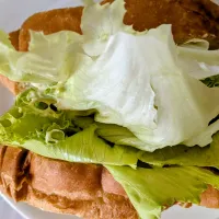 レタスサンド|Jasmineさん