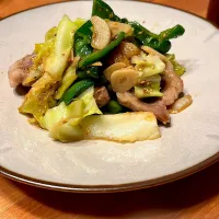 ぶた肉と野菜の炒めもの|おさかなさん