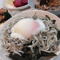 しらす丼|ポコさん