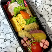 おはようございます　なんか地味な弁当