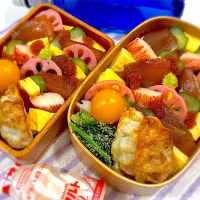 今日の夫婦弁⁽⁽ ◟(灬 ˊωˋ 灬)◞ ⁾⁾💕| 桃実さん