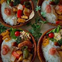 今日のお弁当| みゆき𐤔(◍´͈ ᵕ `͈ ◍)𐤔さん