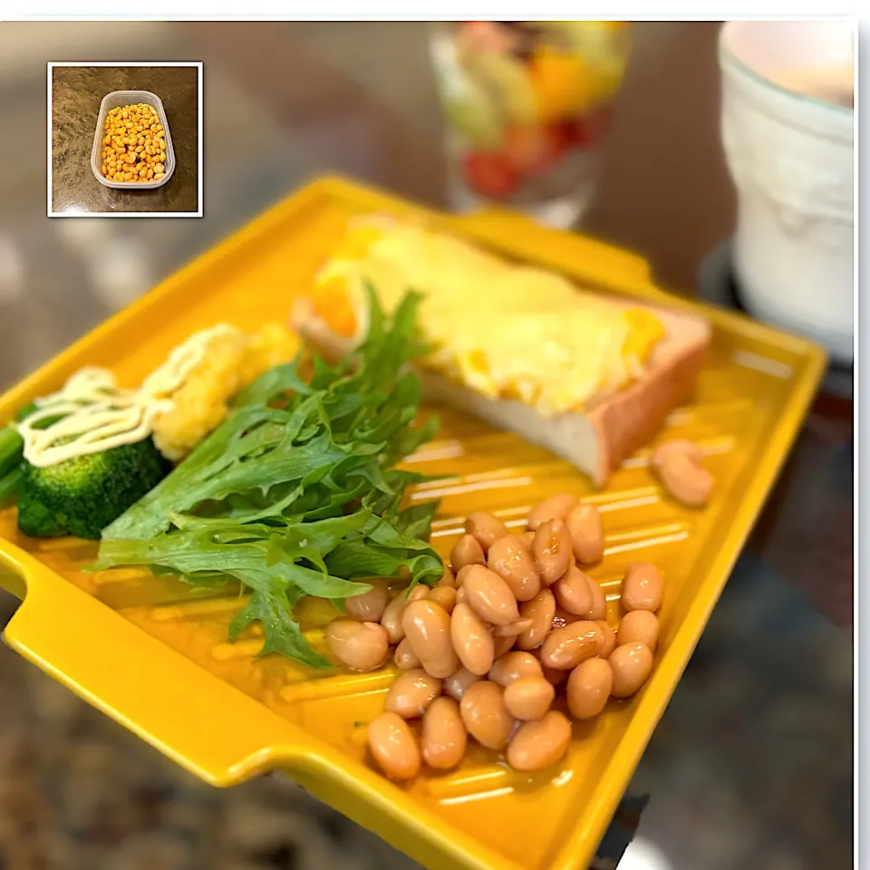 大豆|かっちゃん杉さん