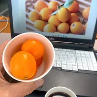 今日の昼ご飯　金柑　社長の頂き物の金柑を社長秘書からおさがりしていただきました。今日は出勤途上で飲むヨーグルトを買い忘れ、パントリーにもお菓子の在庫がなかったので、今日の昼ご飯はいっそ抜いちゃおうかと思っていたところちょうどよかったです。(*^◯^*)　それにしても、どうやってたべるんだろう？皮ごと？|なびさん