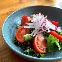 サラダ|おさかなさん