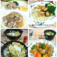 にんべんさんのココナッツミルクのフィッシュカレー|みったんさん