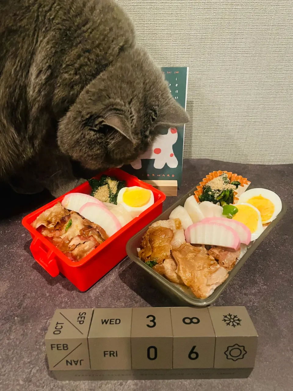 20260206🍱今日のお弁当🍱|akiyo22さん