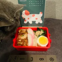 20260206🍱今日の自分弁当🍱| akiyo22さん