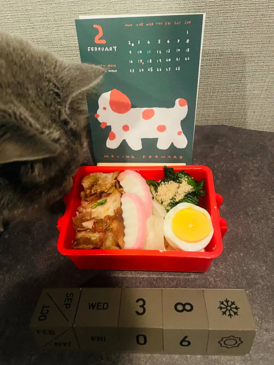 20260206🍱今日の自分弁当🍱|akiyo22さん