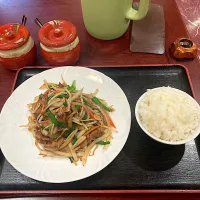 今日の晩ご飯　今日は月一の名古屋の飲み会でしたが、体調がすぐれないので乾杯と同時に失礼させていただきました。でも、スタミナはつけなければならないので、マンション近くの中華「ニ歩七」さんでレバニラ炒めをいただきました。狭いワンルームマンションでははやとに感染する恐れがあるのではやとは急遽今晩藤沢に帰ることになりました。残念😢はやとごめんね🙇‍♀️|なびさん