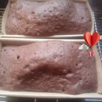 ココア生地にアーモンドプードル、ドライクランベリーでレンチンケーキ|にんにくと唐辛子が特に好き❤️(元シャリマー)さん