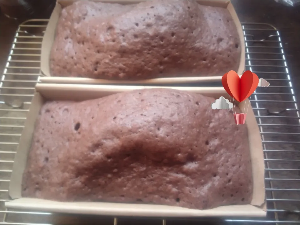 ココア生地にアーモンドプードル、ドライクランベリーでレンチンケーキ|にんにくと唐辛子が特に好き❤️(元シャリマー)さん
