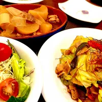 鶏大根煮物と肉野菜炒め😋|＊yurika＊さん