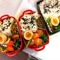 お弁当|Harumiさん