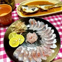 カマス釣って来た〜♪|あんちゃんさん