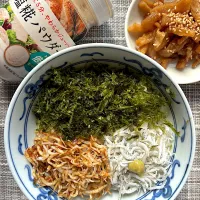 しらすとバラ海苔の3色どんぶり|栃倉 直人さん